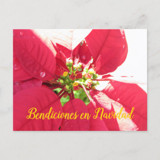 Postal Festiva Postcard Xmas 003 - Español - Postcard