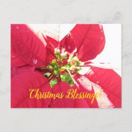 Postal Festiva Postcard Xmas 004 -Postcard