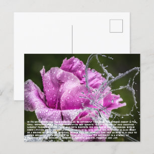 Postal Festiva Postcarta de mariposa