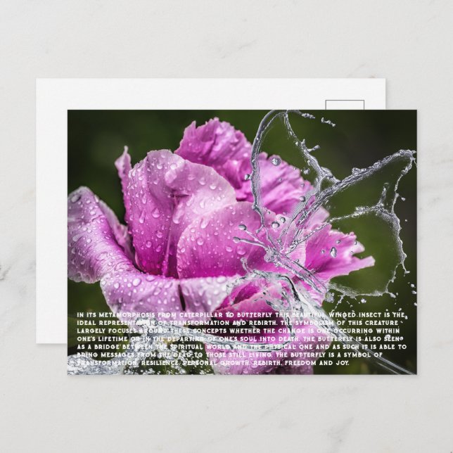 Postal Festiva Postcarta de mariposa (Anverso / Reverso)