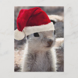 Postal Festiva Postcarta de Santa Squirrel