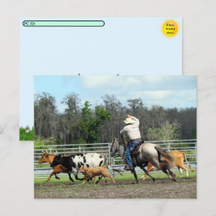 Postal Festiva Postcross - The Roundup - Postcard de Cowboy
