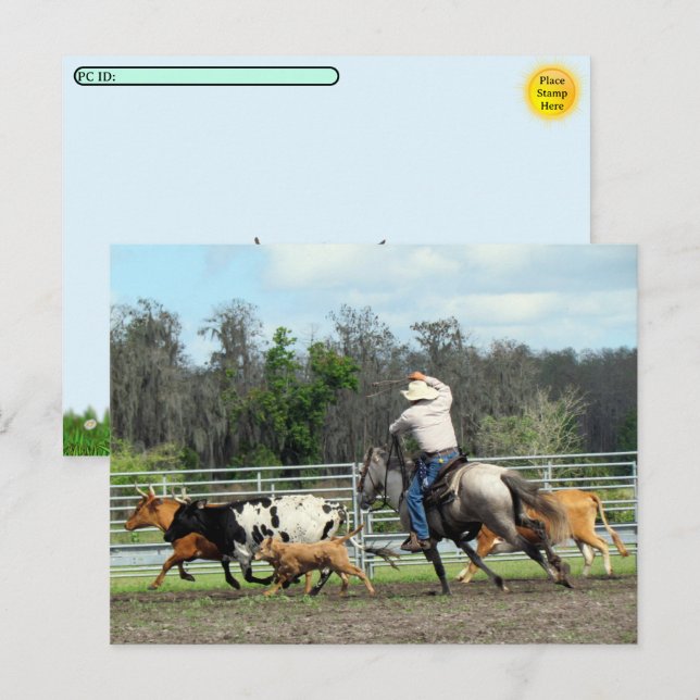 Postal Festiva Postcross - The Roundup - Postcard de Cowboy (Anverso / Reverso)