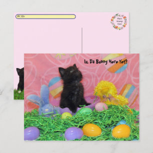 Postal Festiva Postcross - ¿Ya Está Aquí El Conejo De Pascua? Pas