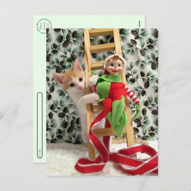 Postal Festiva Postcrossing - Annie The Kitten and the Elf  (Anverso / Reverso)