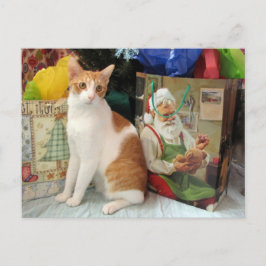 Postal Festiva Postcrossing - Kagan the Cat - Christmas 