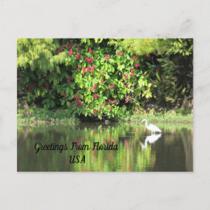 Postal Festiva Postcrossing - Saludos desde - Paisaje de Garza