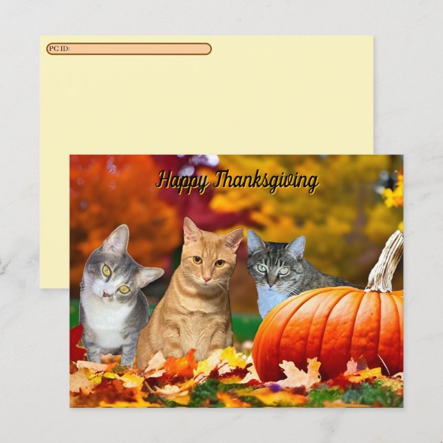 Postal Festiva Postcrossing Tito, Taz & Annie's 2025 Thanksgiving (Anverso / Reverso)