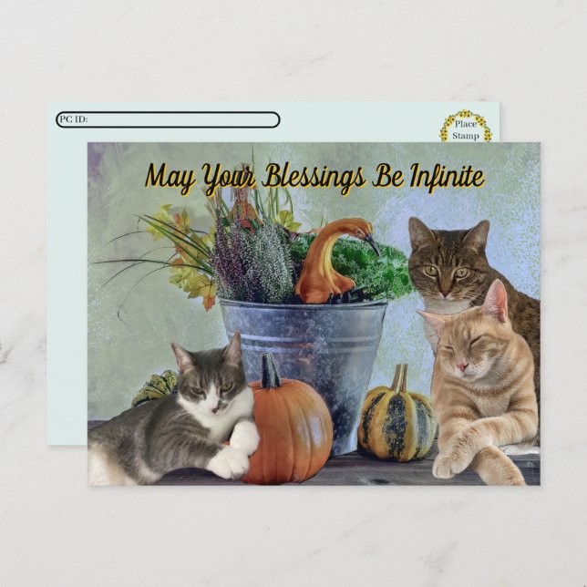 Postal Festiva Postcrossing Tito Taz & Annie's 2025 Thanksgiving  (Anverso / Reverso)