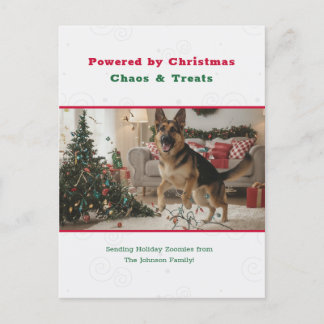 Postal Festiva Powered by Christmas Chaos Funny Dog Pet Photo