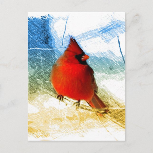 Postal Festiva Primitive western country christmas red cardinal (Anverso)