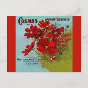 Postal Festiva Publicidad vintage Etiqueta de fruta Cosmos Washin