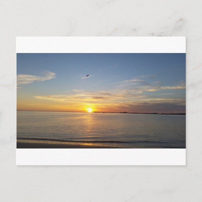 Postal Festiva Puesta del sol en acción de gracias (Anverso)