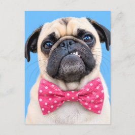 Postal Festiva Pug con lazo rosa