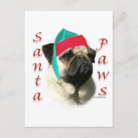 Pug (fawn) Santa Paws