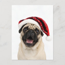Postal Festiva Pug Feliz con Sombrero Rojo Brillante de Santa Nav