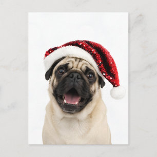 Postal Festiva Pug Feliz con Sombrero Rojo Brillante de Santa Nav