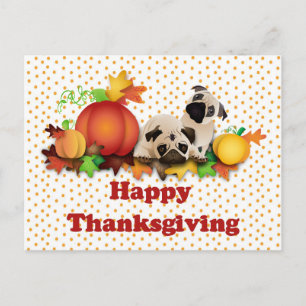 Postal Festiva Pugs y calabazas de Acción de Gracias