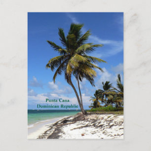 Postal Festiva Punta Cana, República Dominicana, palmera de coco