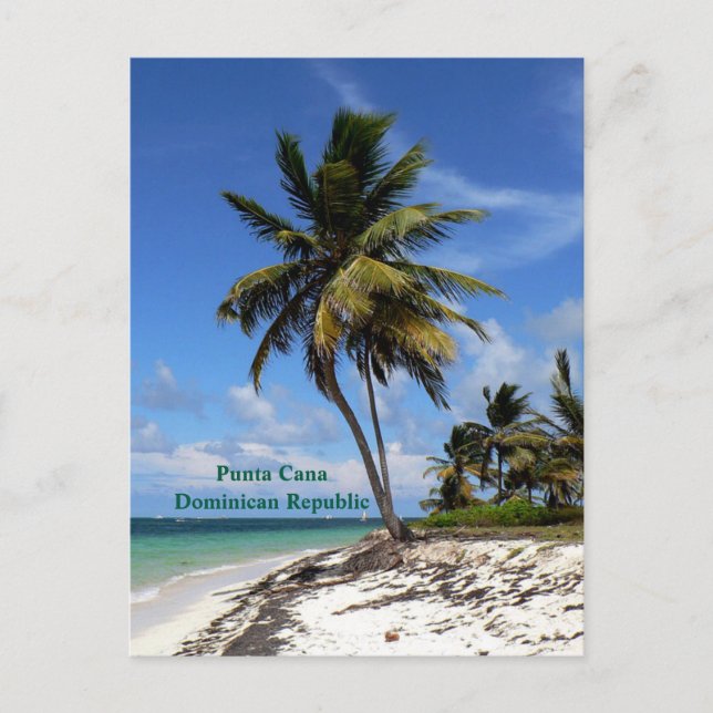Postal Festiva Punta Cana, República Dominicana, palmera de coco (Anverso)
