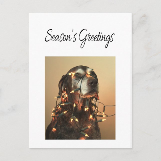 Postal Festiva Puntero coronario de Season's Greetings (Anverso)