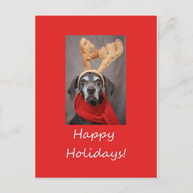 Postal Festiva Puntero cortopardo de Happy Holidays (Anverso)