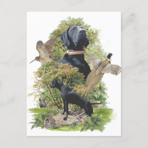 Postal Festiva Punteros de corto alcance alemanes (GSP)