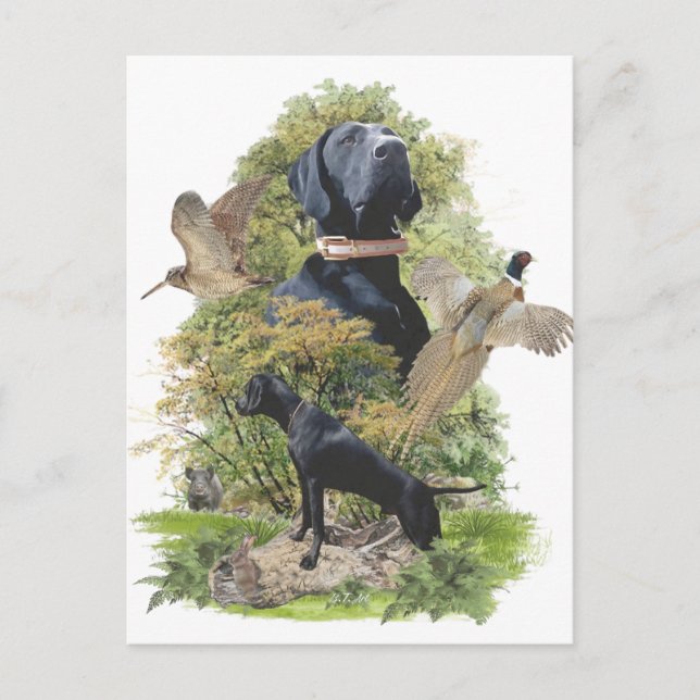 Postal Festiva Punteros de corto alcance alemanes (GSP) (Anverso)