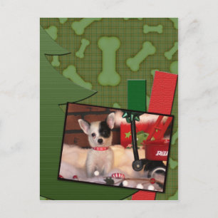 Postal Festiva Puntos lindos de la chihuahua del perrito del