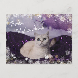 Postal Festiva Purple XMAS Cats