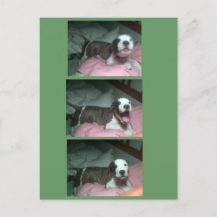 Postal Festiva quiero a santa ahora quiero a santa