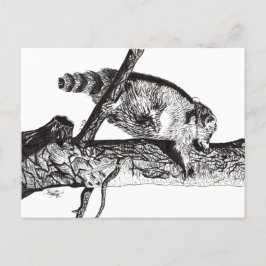 POSTAL FESTIVA RACCOON