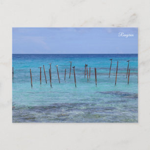 Postal Festiva Rangiroa Polinesia Francesa