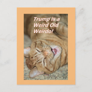 Postal Festiva Raro Trump