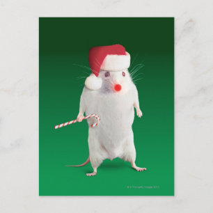 Postal Festiva Ratón vestido como Papá Noel