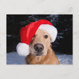 Postal Festiva Recuperador de oro en Santa Hat