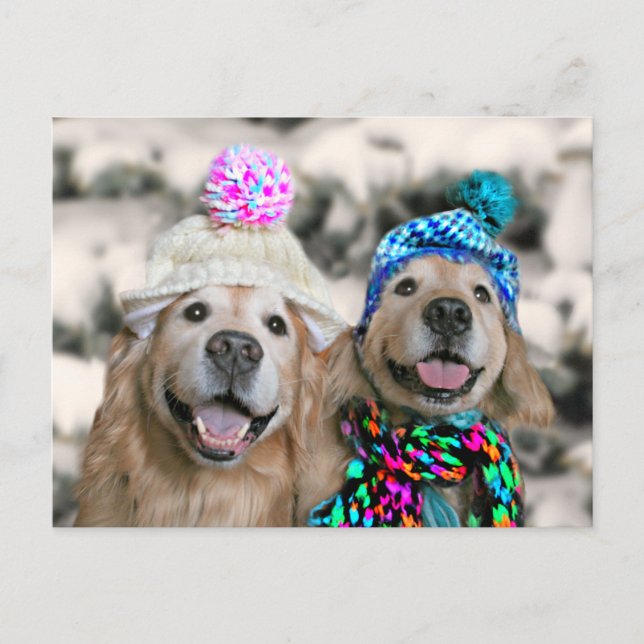 Postal Festiva Recuperadores de oro en Navidades de vacaciones de (Anverso)