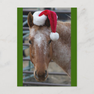 Postal Festiva Red Appaloosa con Santa Hat