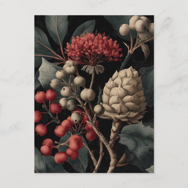 Postal Festiva Red Berries and Exotic Seed Pods on Black (Anverso)