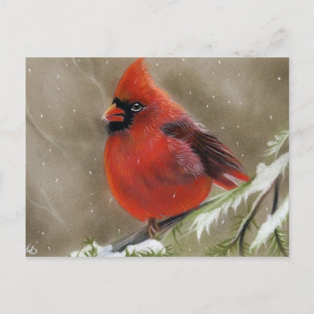 Postal Festiva Red Cardinal Bird  christmas Postcard (Anverso)