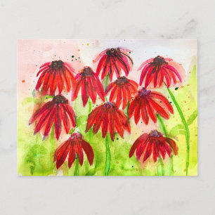 Postal Festiva Red Echinacea Blooms Watercolor Arte Botánico