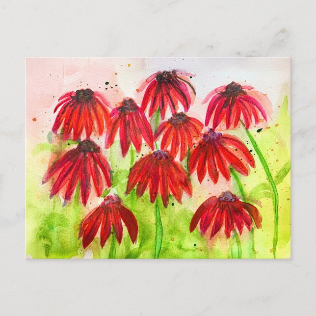 Postal Festiva Red Echinacea Blooms Watercolor Arte Botánico (Anverso)