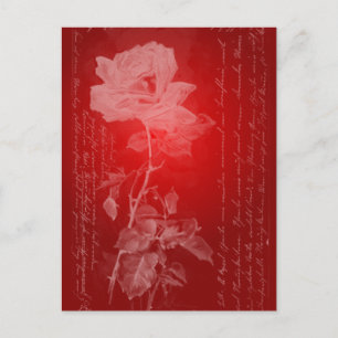 Postal Festiva Red Rose Valentine