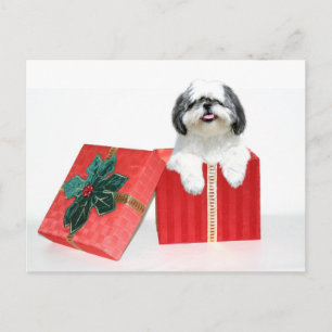 Postal Festiva Regalo de los Navidades Shih Tzu