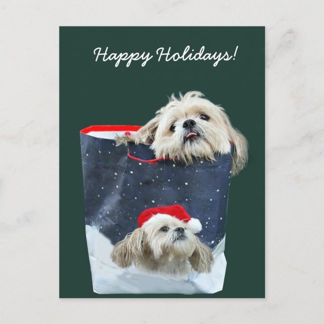 Postal Festiva Regalo de los Navidades Shih Tzu (Anverso)