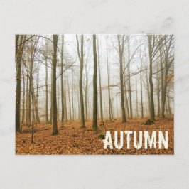 Postal Festiva Regalo de temporada de niebla y niebla otoñal