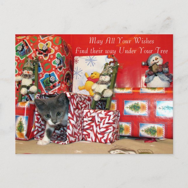 Postal Festiva Regalos de Navidades de Bob - Navidades gatos/gati (Anverso)