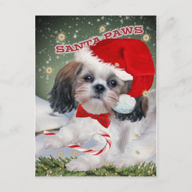 Postal Festiva Regalos de Shih Tzu Santa Paws (Anverso)