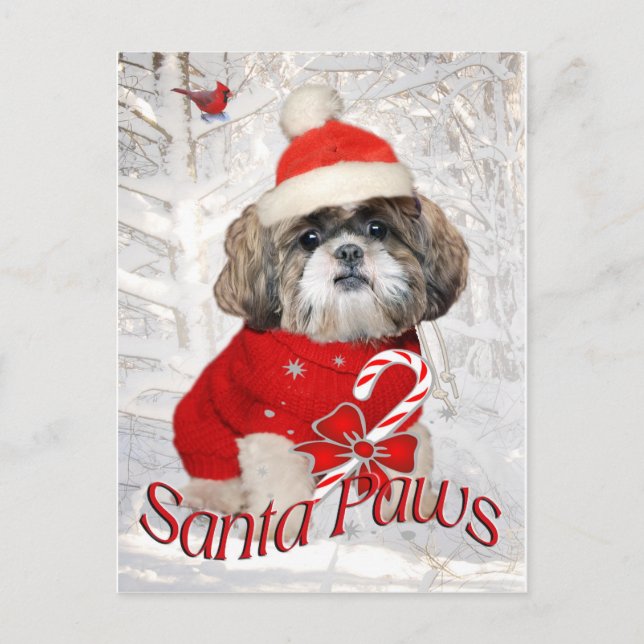 Postal Festiva Regalos de Shih Tzu Santa Paws (Anverso)