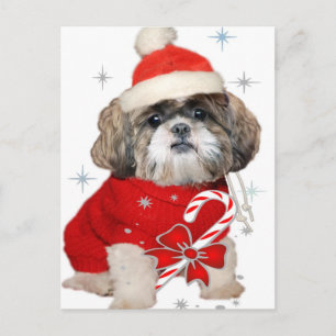 Postal Festiva Regalos de Shih Tzu Santa Paws
